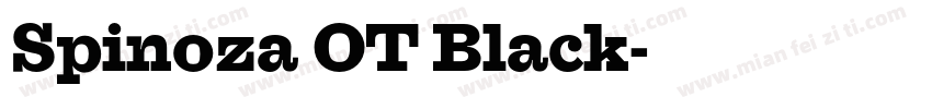 Spinoza OT Black字体转换